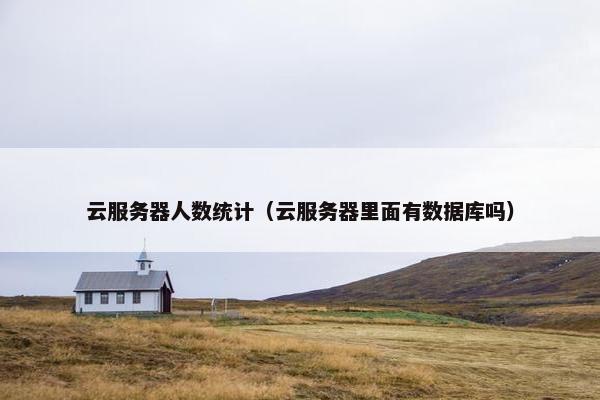 云服务器人数统计（云服务器里面有数据库吗）