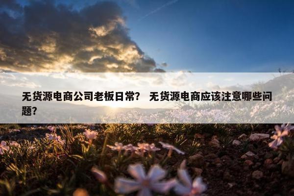 无货源电商公司老板日常? 无货源电商应该注意哪些问题?