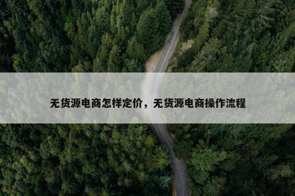 无货源电商怎样定价，无货源电商操作流程