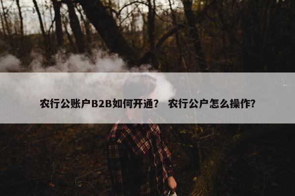 农行公账户B2B如何开通？ 农行公户怎么操作？
