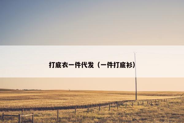 打底衣一件代发（一件打底衫）