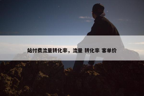 站付费流量转化率，流量 转化率 客单价