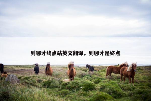 到哪才终点站英文翻译，到哪才是终点