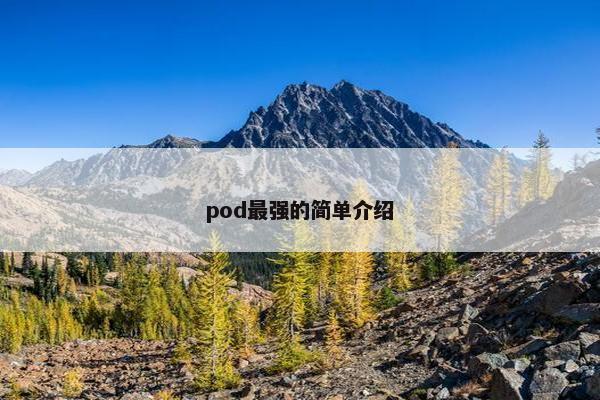 pod最强的简单介绍 pod最强的简单介绍