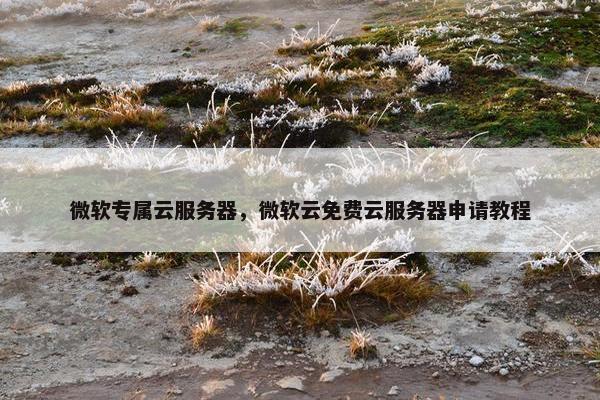 微软专属云服务器,微软云免费云服务器申请教程