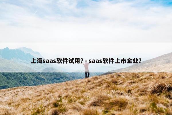 上海saas软件试用? saas软件上市企业?
