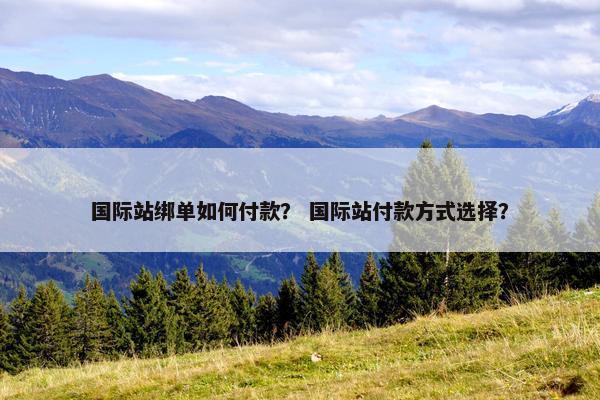 国际站绑单如何付款? 国际站付款方式选择? 国际站绑单如何付款? 国际站付款方式选择?