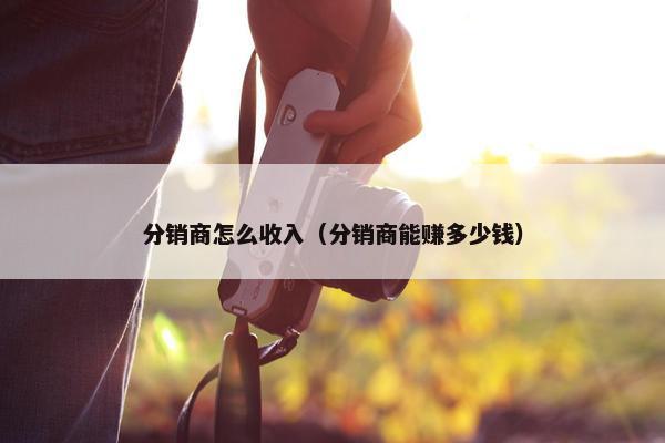 分销商怎么收入(分销商能赚多少钱)