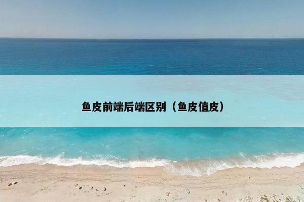 鱼皮前端后端区别(鱼皮值皮) 鱼皮前端后端区别(鱼皮值皮)