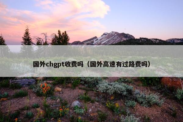 国外chgpt收费吗(国外高速有过路费吗) 国外chgpt收费吗(国外高速有过路费吗)