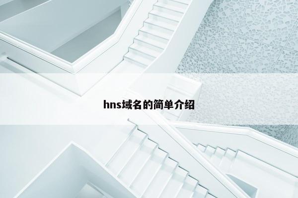 hns域名的简单介绍 hns域名的简单介绍