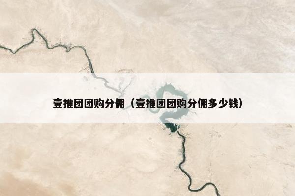 壹推团团购分佣（壹推团团购分佣多少钱）