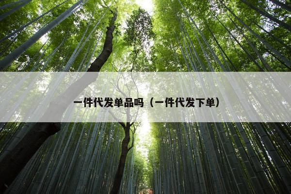 一件代发单品吗(一件代发下单) 一件代发单品吗(一件代发下单)