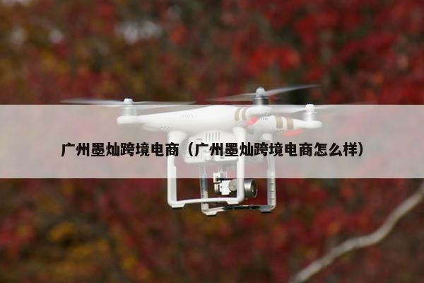 广州墨灿跨境电商(广州墨灿跨境电商怎么样) 广州墨灿跨境电商(广州墨灿跨境电商怎么样)