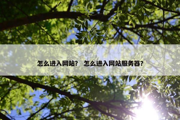 怎么进入网站? 怎么进入网站服务器? 怎么进入网站? 怎么进入网站服务器?