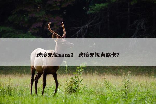 跨境无忧saas? 跨境无忧直联卡?