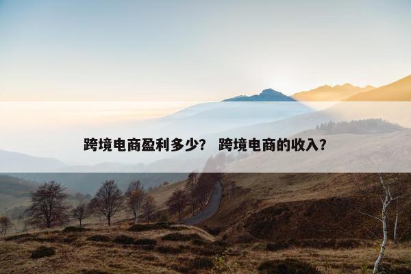 跨境电商盈利多少? 跨境电商的收入?