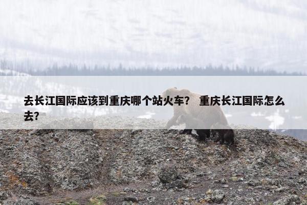 去长江国际应该到重庆哪个站火车? 重庆长江国际怎么去?