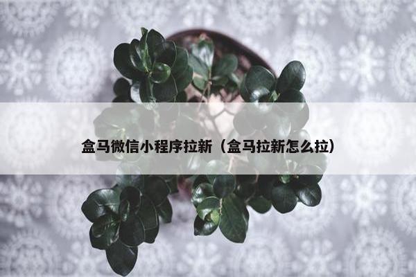 盒马微信小程序拉新(盒马拉新怎么拉) 盒马微信小程序拉新(盒马拉新怎么拉)