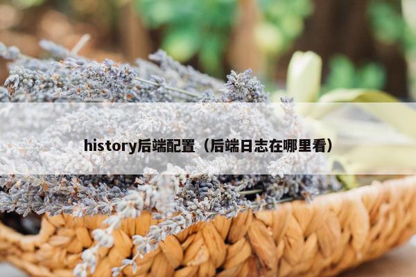 history后端配置(后端日志在哪里看)