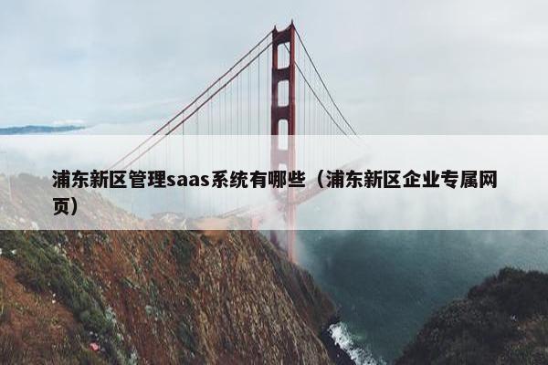 浦东新区管理saas系统有哪些(浦东新区企业专属网页) 浦东新区管理saas系统有哪些(浦东新区企业专属网页)