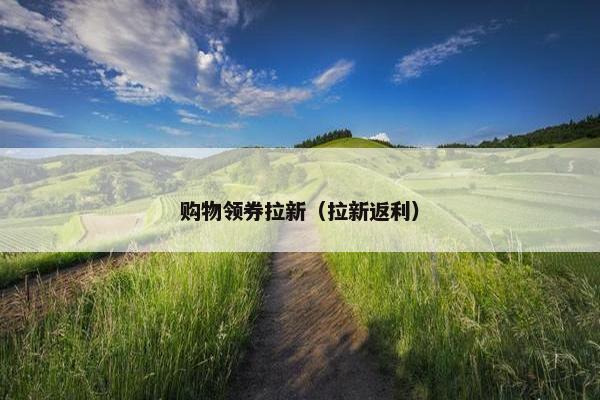 购物领券拉新(拉新返利) 购物领券拉新(拉新返利)