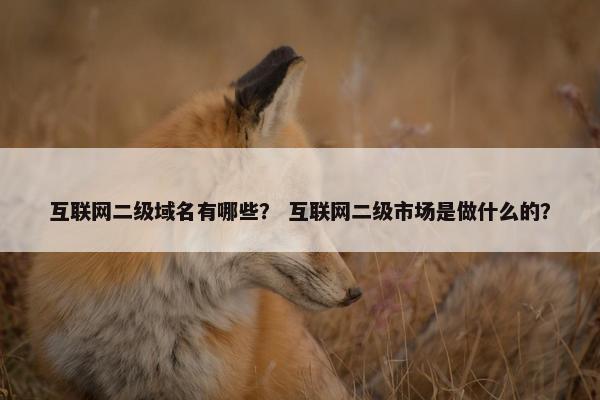 互联网二级域名有哪些? 互联网二级市场是做什么的?