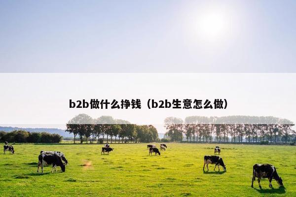 b2b做什么挣钱(b2b生意怎么做)