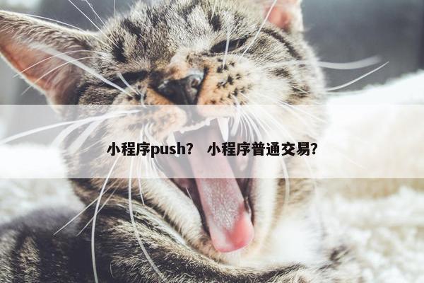 小程序push? 小程序普通交易?