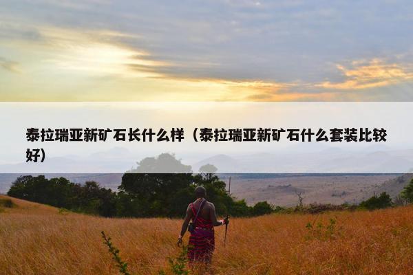 泰拉瑞亚新矿石长什么样（泰拉瑞亚新矿石什么套装比较好）