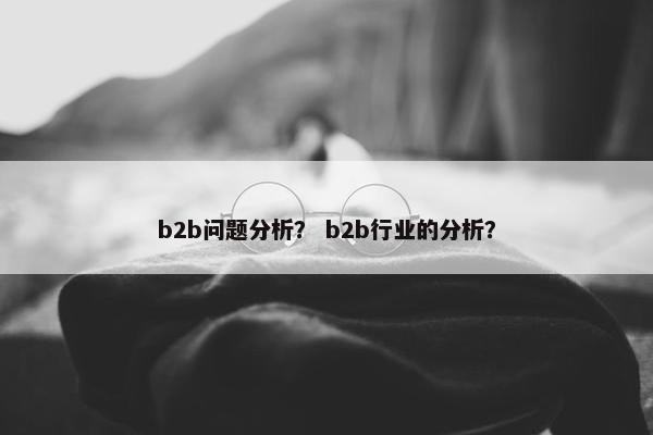 b2b问题分析? b2b行业的分析?