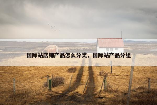 国际站店铺产品怎么分类,国际站产品分组