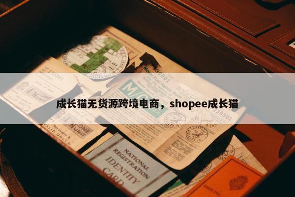 成长猫无货源跨境电商,shopee成长猫