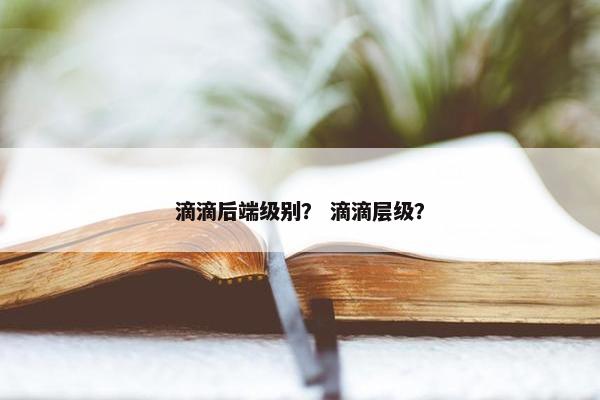 滴滴后端级别? 滴滴层级? 滴滴后端级别? 滴滴层级?