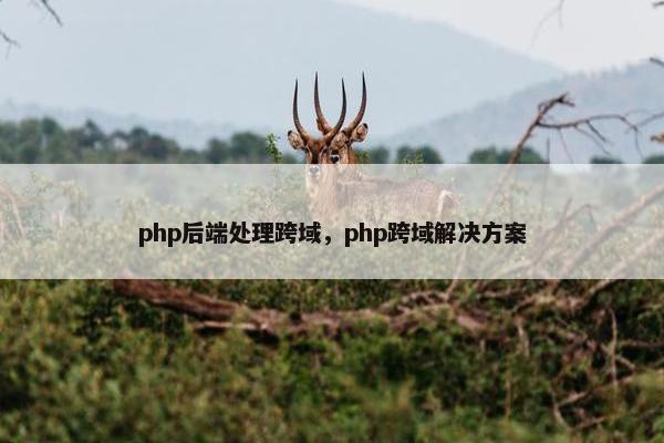 php后端处理跨域,php跨域解决方案 php后端处理跨域,php跨域解决方案