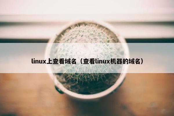 linux上查看域名(查看linux机器的域名) linux上查看域名(查看linux机器的域名)