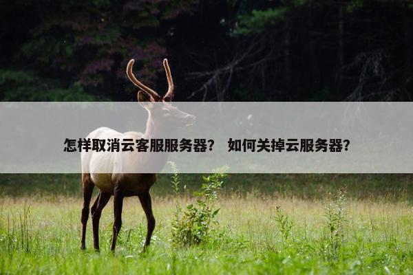 怎样取消云客服服务器? 如何关掉云服务器?
