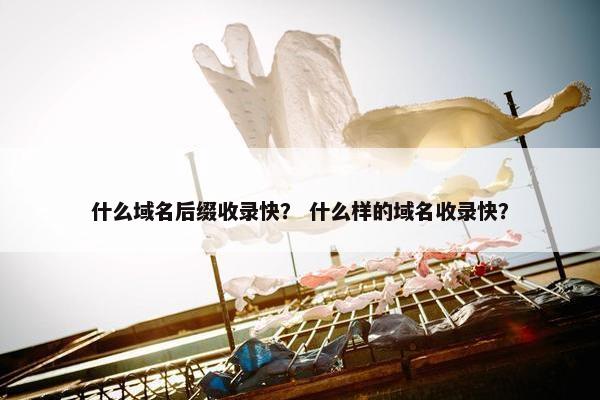 什么域名后缀收录快？ 什么样的域名收录快？