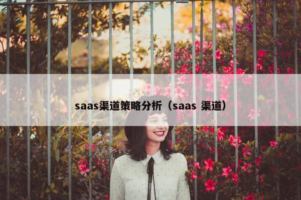 saas渠道策略分析(saas 渠道) saas渠道策略分析(saas 渠道)
