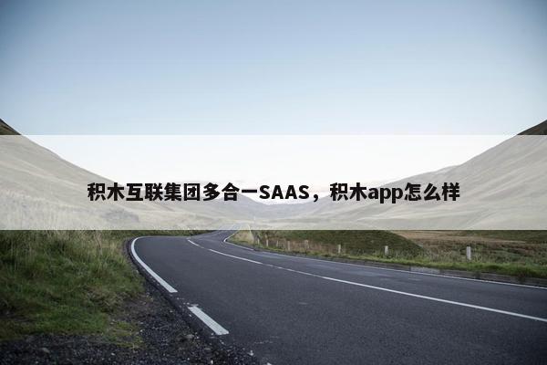 积木互联集团多合一SAAS,积木app怎么样
