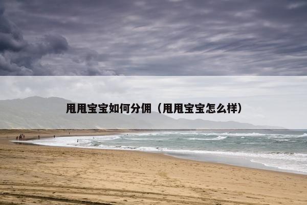 甩甩宝宝如何分佣(甩甩宝宝怎么样)