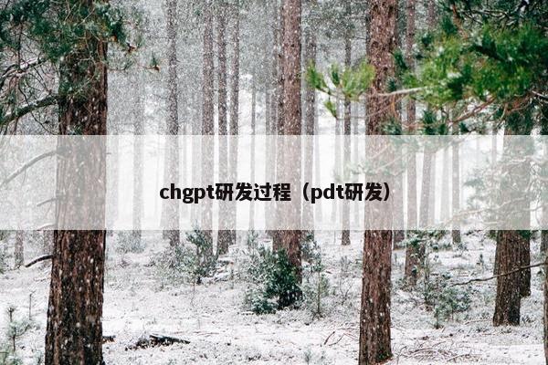 chgpt研发过程（pdt研发）