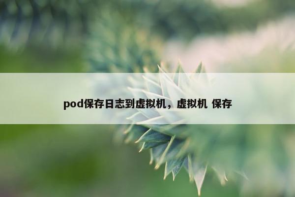 pod保存日志到虚拟机,虚拟机 保存