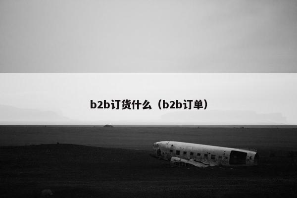 b2b订货什么（b2b订单）