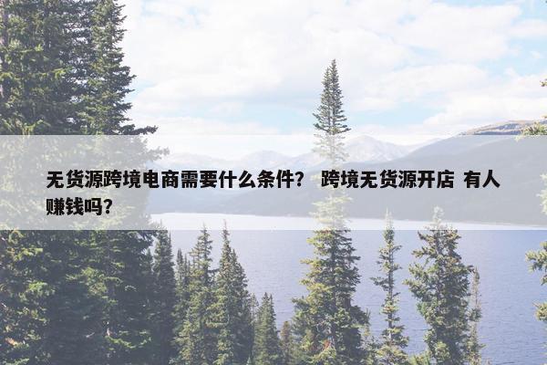 无货源跨境电商需要什么条件? 跨境无货源开店 有人赚钱吗?