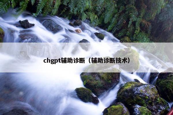 chgpt辅助诊断(辅助诊断技术)