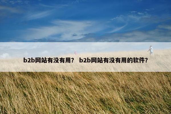 b2b网站有没有用? b2b网站有没有用的软件?