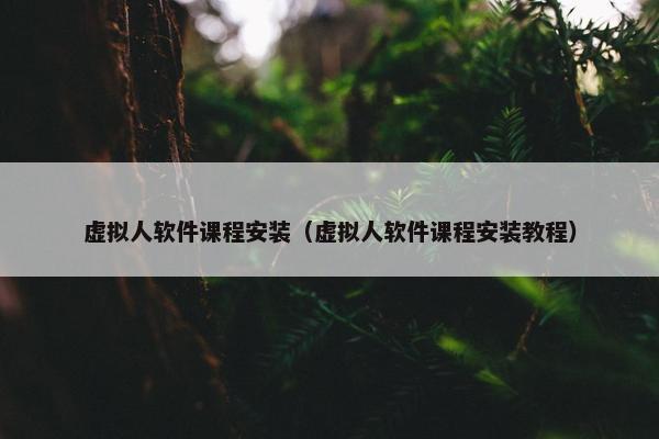 虚拟人软件课程安装(虚拟人软件课程安装教程)