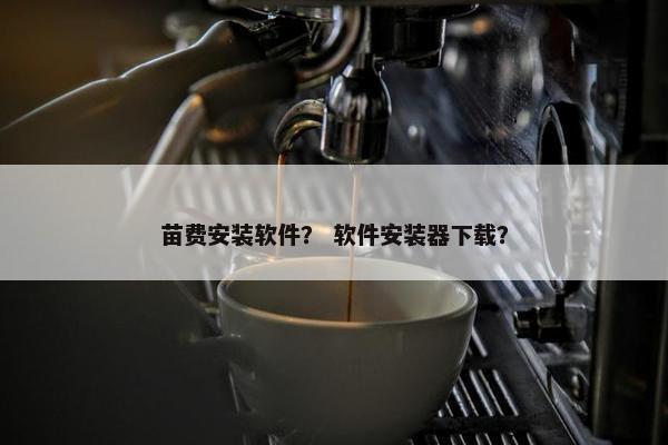 苗费安装软件? 软件安装器下载?