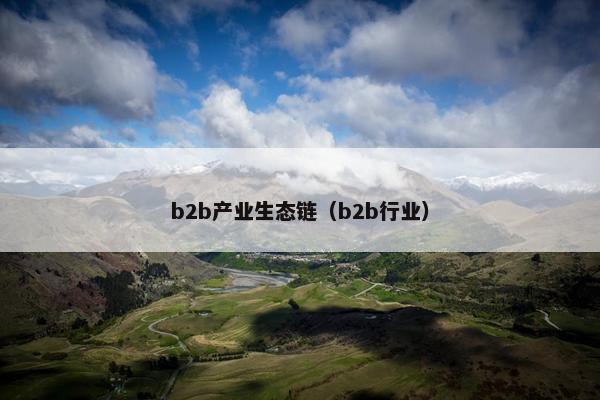 b2b产业生态链(b2b行业)